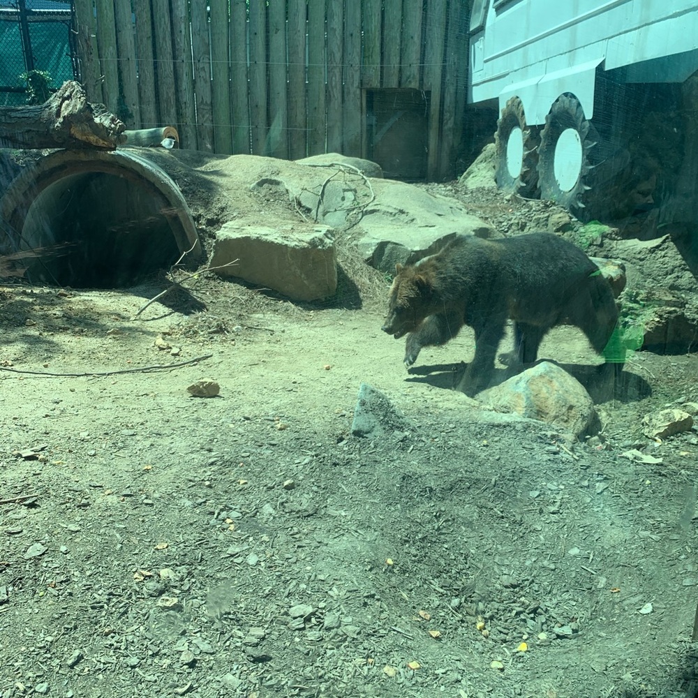 Meet your Posher, Dielny